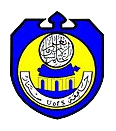 Sinnar University Logo