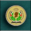 Al-Hussein Bin Talal University Logo