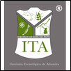 Altamira Institute of Technology Logo