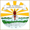 Bahir Dar University Logo