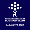 Domingo Savio Private University Logo