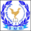 Economics and Finance Institute Logo