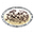 Northern Ossetian State Academy of Medicine Logo