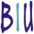 Bareilly International University Logo