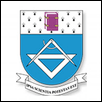 Gheorghe Asachi Technical University of Iasi Logo