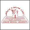 Hawler Medical University Logo