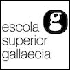 Higher School Gallaecia Logo