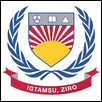 Indira Gandhi Technological and Medical Sciences University Logo