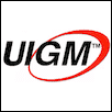 Indo Global Mandiri University Logo