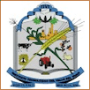 Institute of Technology Yaqui Valley Logo
