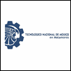 Instituto Tecnologico de Matamoros Logo