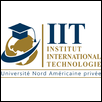 International Institute of Technology Logo