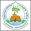 Jazeera University Logo