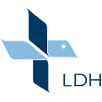 Lovisenberg Diaconal College Logo
