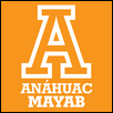 Mayab University Logo