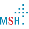 Medical School Hamburg Logo