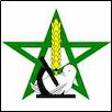 National School of Agriculture, Meknes Logo