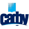 Northern Arctic Federal University Logo