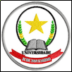 November 11 University Logo