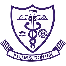 Pt. Bhagwat Dayal Sharma University of Health Sciences Logo