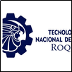 Roque Institute of Technology Logo