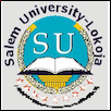 Salem University - Nigeria Logo