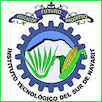 Southern Institute of Technology Logo