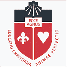 St John's University - New York Logo
