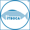 Technological Institute of Boca del Rio Logo