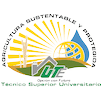 Technological University of Etchojoa Logo