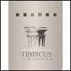 Tibiscus University of Timisoara Logo