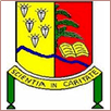 University of Mbuji-Mayi Logo