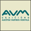 V. A. Graiciunas School of Management Logo