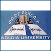 Woldia University Logo